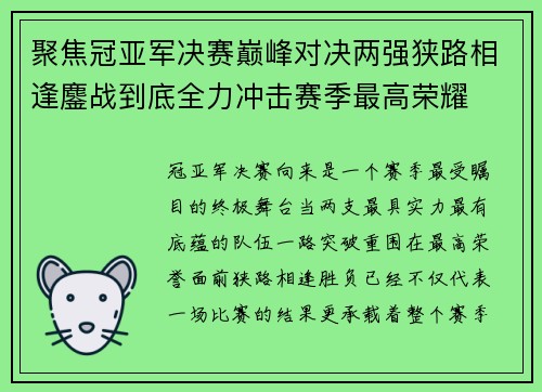 聚焦冠亚军决赛巅峰对决两强狭路相逢鏖战到底全力冲击赛季最高荣耀